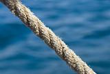 Rope against sea water