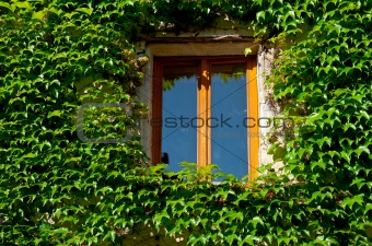 French Window