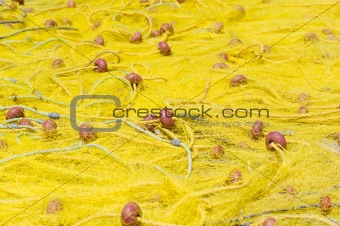 Yellow fishing nets