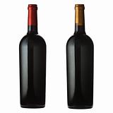 Red wine bottles on white