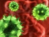 isolated viruses