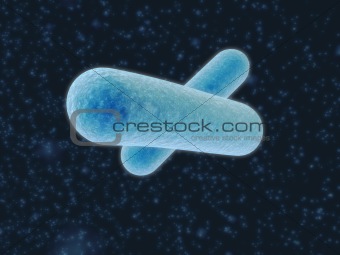 isolated bacteria