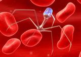 virus attacking blood cells