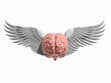 flying brain