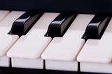 Piano keyboard detail