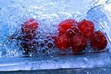 red fruits in water