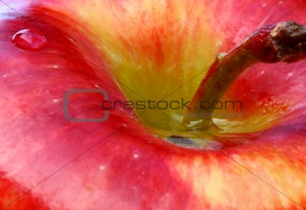 waterdrops on the apple