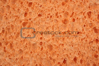 Orange sponge textured background