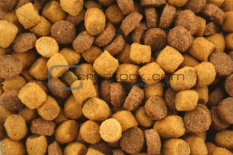 Dry Cat food background texture
