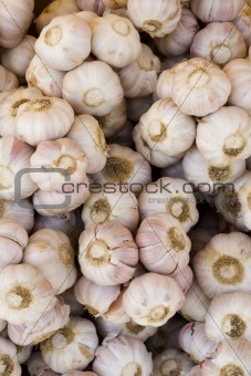 Garlic on Display