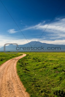 Road to Kilimanjaro
