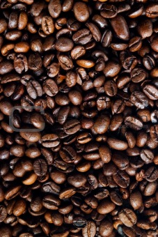 Coffee Beans #2