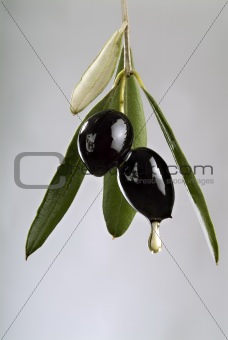 dripping black olives