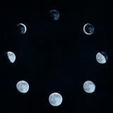 moon phases collage