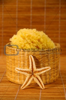 Sea sponge and starfish