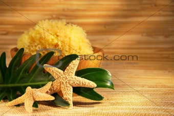 Sea sponge and wooden bowl