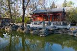Chinese Garden III
