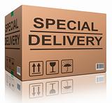 special delivery cardboard box