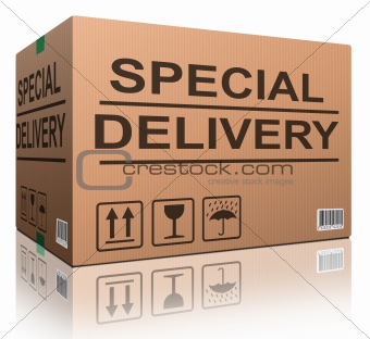 special delivery cardboard box