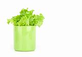 lettuce leaves in a cup on white background