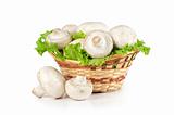 Champignon mushroom in a basket