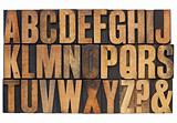 alphabet in letterpress wood type