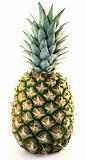 Beautiful pineapple