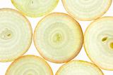 Slices of fresh Onion / background / back lit
