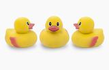 Three yellow rubber ducks