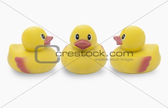Three yellow rubber ducks
