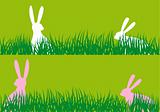 easter bunnies in grass, vector