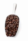  coffee beans in metal scoop