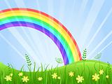 Summer Green Meadow with Yellow flowers. Landscape with Rainbow. Vector illustration.