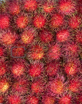 Rambutans fruit background