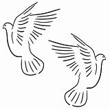 Set of white vector doves.