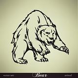 Bear vector illustration