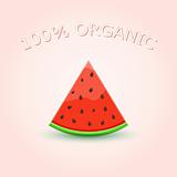 100% Organic Watermelon Slice on Light Background. Vector