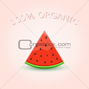100% Organic Watermelon Slice on Light Background. Vector