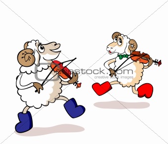 Lambs are musicians