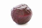 Whole raw red cabbage on white background