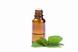 Peppermint oil and fresh mint 