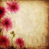 Old paper background with flowers 