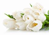 bouquet of white tulips with green leaves