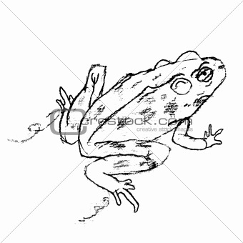 Sketch of Jumping Frog
