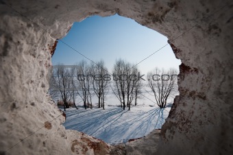 Landscape through the rounded window