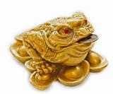 Chinese Feng Shui lucky money toad for riches