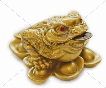 Chinese Feng Shui lucky money toad for riches