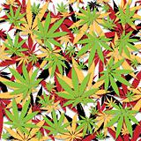 Marijuana background