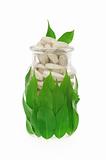 Herbal supplement pills and fresh leaves in bottle
