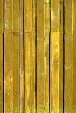 Texture of Yellow color paint plank vertical